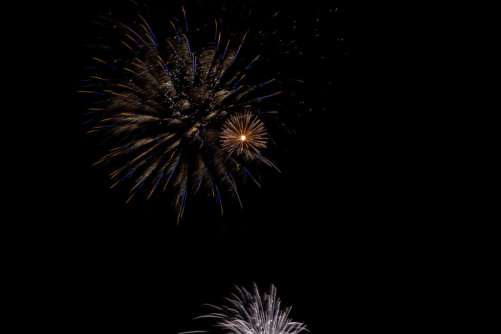 IMG_3985.jpg