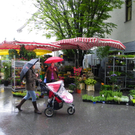 Freitagmarkt 