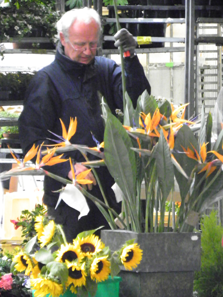 101_3072_jpg-1273962285