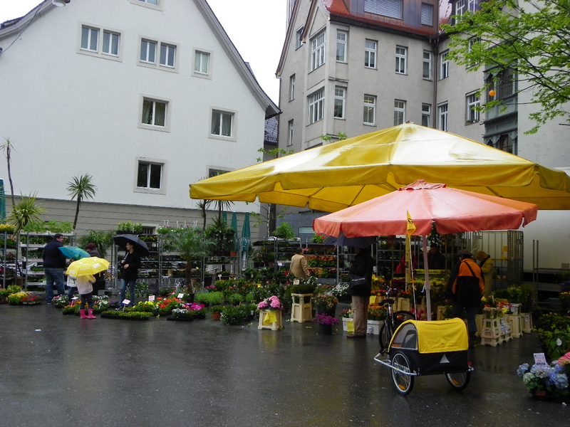 101_3075_jpg-1273962302