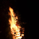 DSC_9214.jpg