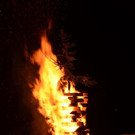 DSC_9219.jpg