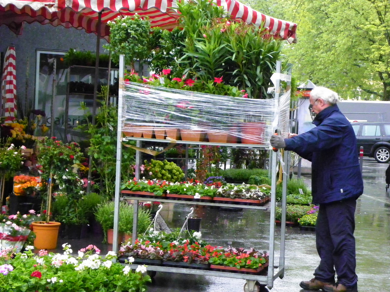 101_3076_jpg-1273962312