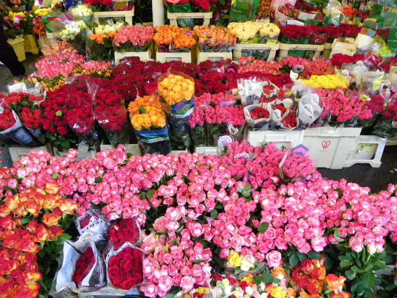 101_3100_jpg-1273962349