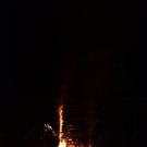 DSC_9285.jpg