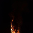 DSC_9287.jpg