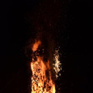 DSC_9294.jpg