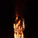 DSC_9295.jpg