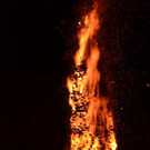 DSC_9297.jpg