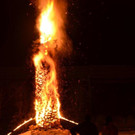 DSC_9298.jpg