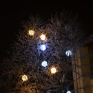 DSC_9335.jpg