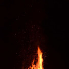 DSC_9392.jpg