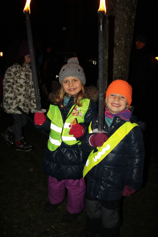 Funken im B__umle 21-02-2015 _1_.JPG