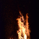 DSC_3823.JPG