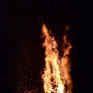 DSC_3825.JPG