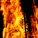 DSC05050.JPG