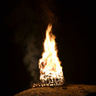 DSC_0167.JPG
