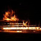 IMG_3343.JPG