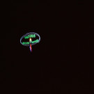 IMG_6526_JPG-1424718617.jpg