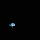 IMG_6532_JPG-1424718714.jpg
