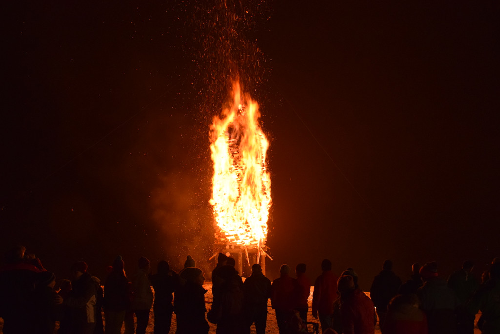 DSC_1484.JPG