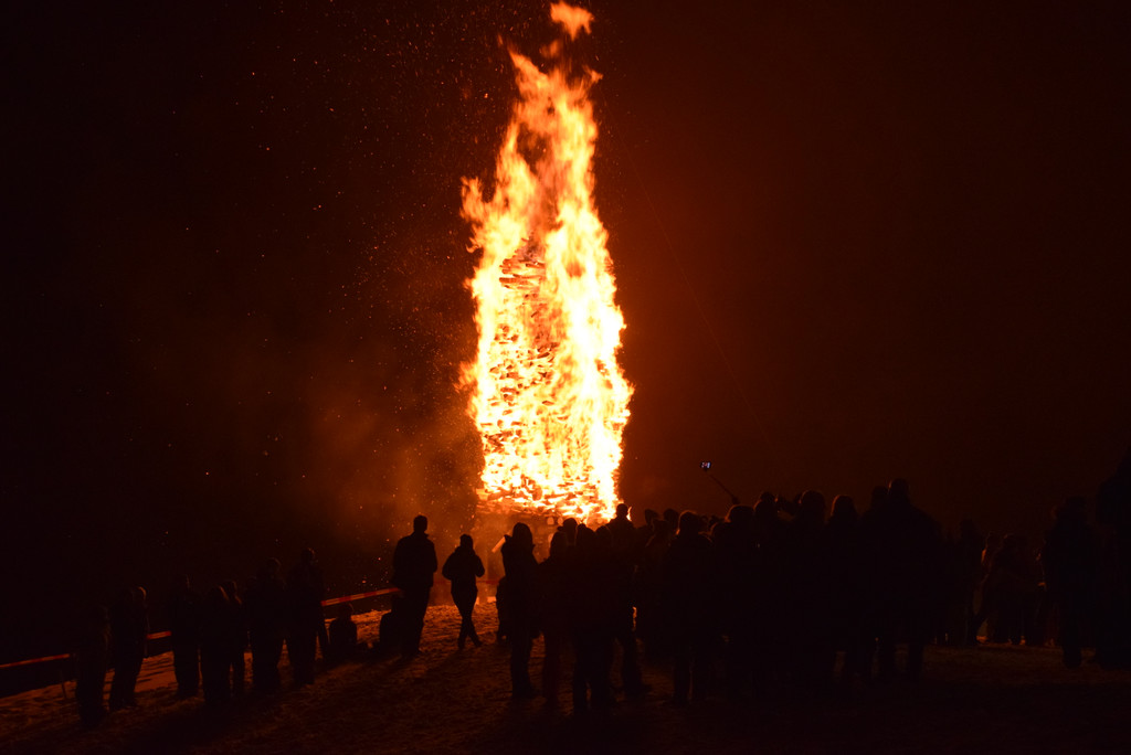 DSC_1498.JPG