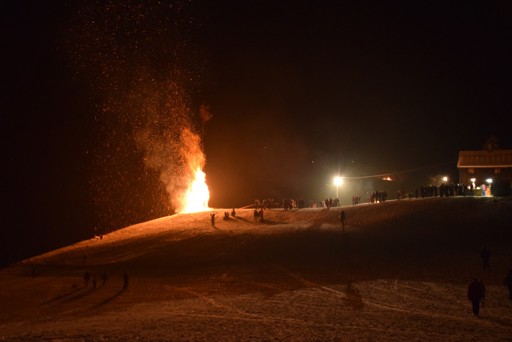 DSC_1552.JPG