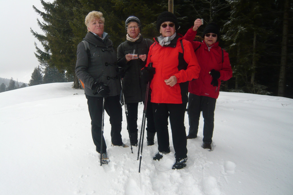 Winter   wanderung   B__dele 24_02_2015        Bild  _3_.jpg