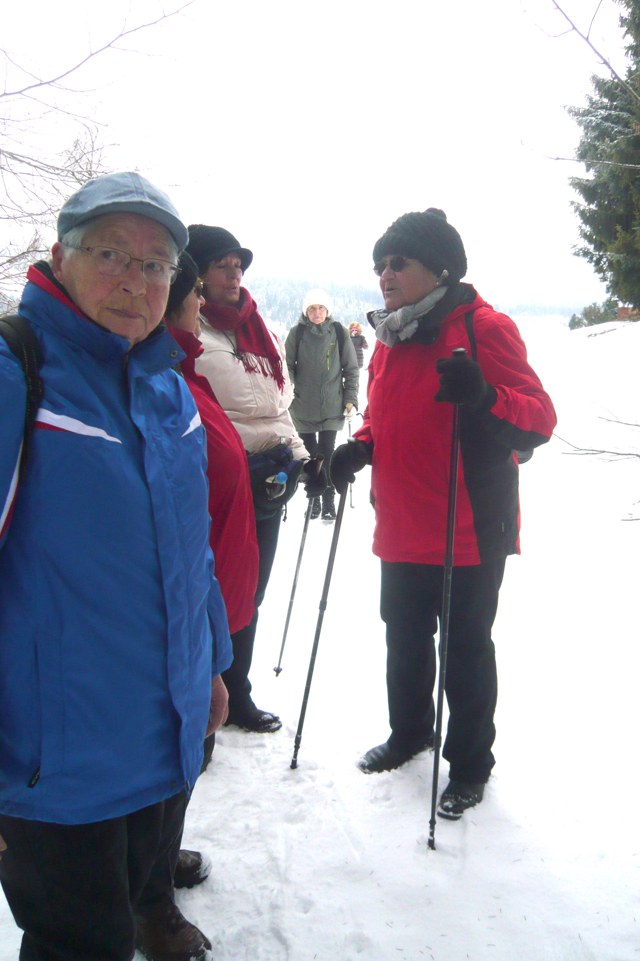 Winter  wanderung   B__dele 24_02_2015   Bild  _4_.JPG