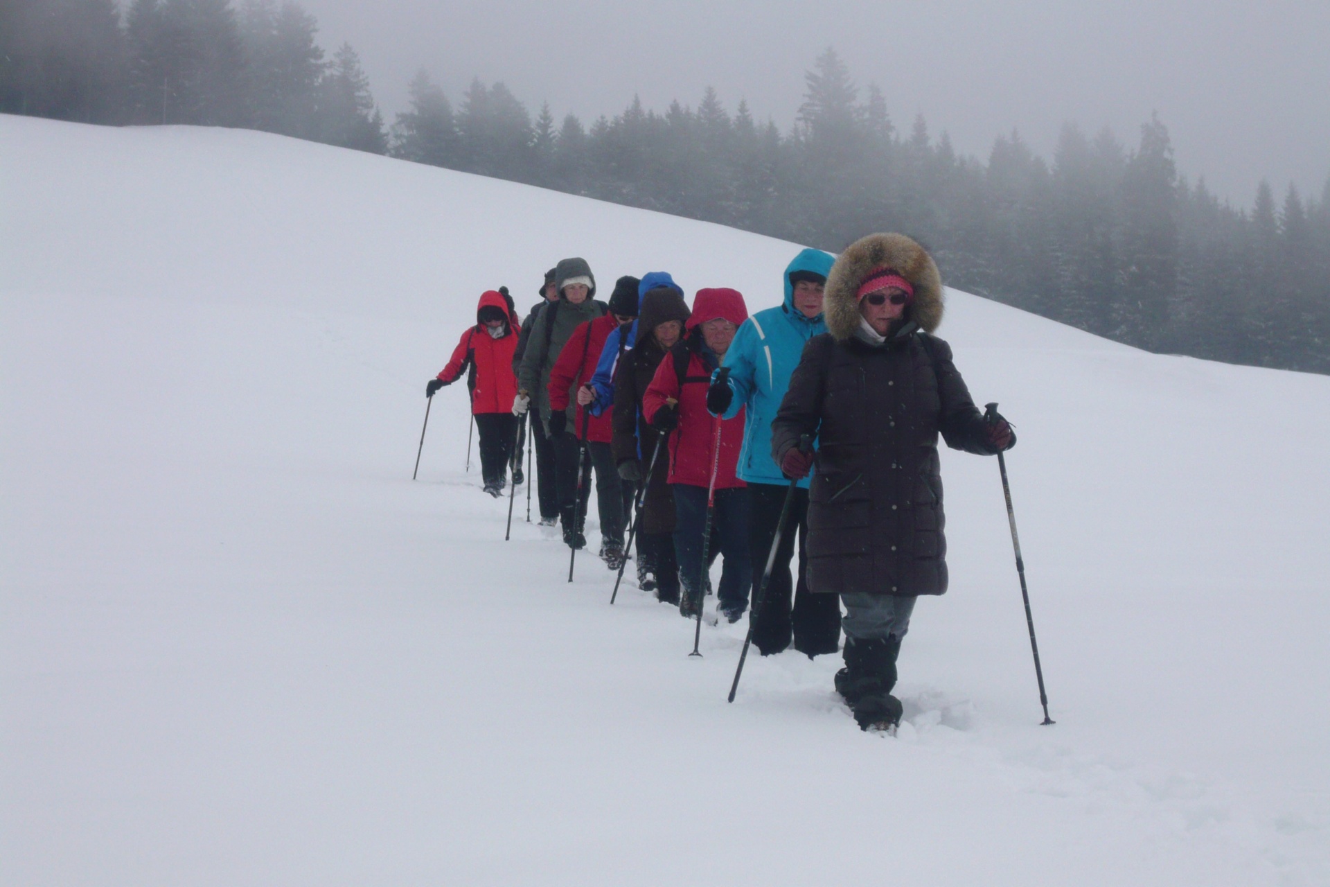 Winter  wanderung B__dele 24_02_2015 Bild _1_.JPG