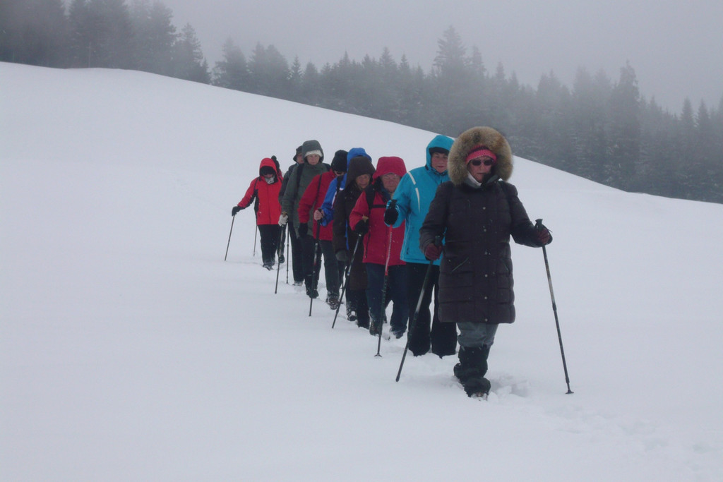 Winter  wanderung B__dele 24_02_2015 Bild _1_.JPG