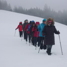 Winter  wanderung B__dele 24_02_2015 Bild _1_.JPG