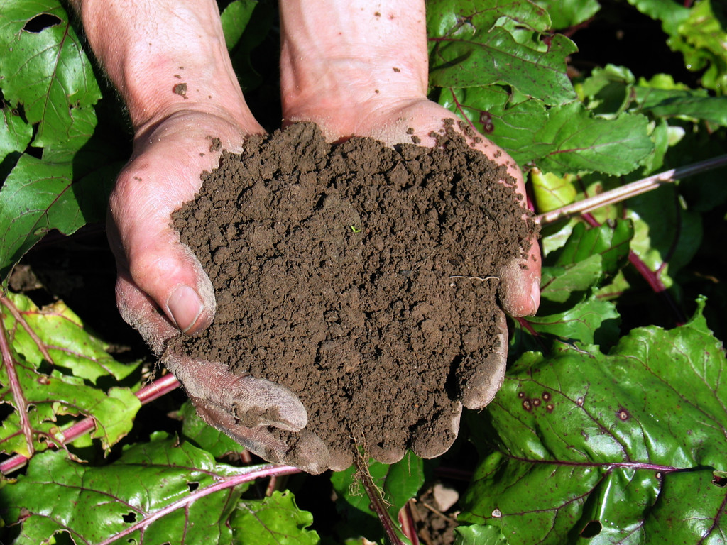 27_02_Gartenerde1_original_R_by_Sabine Wei__e_pixelio de _2_.jpg