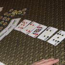 IMG_5036.JPG