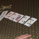 IMG_5037.JPG