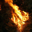 DSC05121.JPG