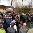 ALF_2014.jpg