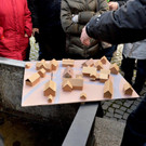 ALF_2239.jpg