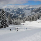 Wintergolf3.jpg