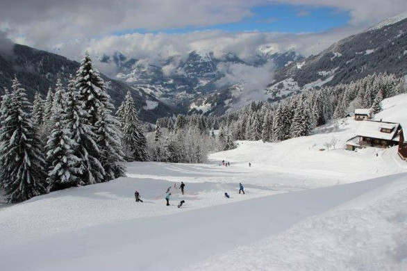 Wintergolf3.jpg