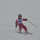 DSC_9517.jpg