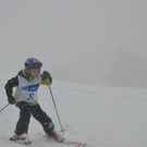 DSC_9522.jpg