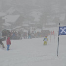 DSC_9526.jpg
