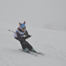 DSC_9562.jpg