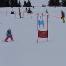 P2210515.jpg