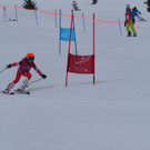 P2210552.jpg