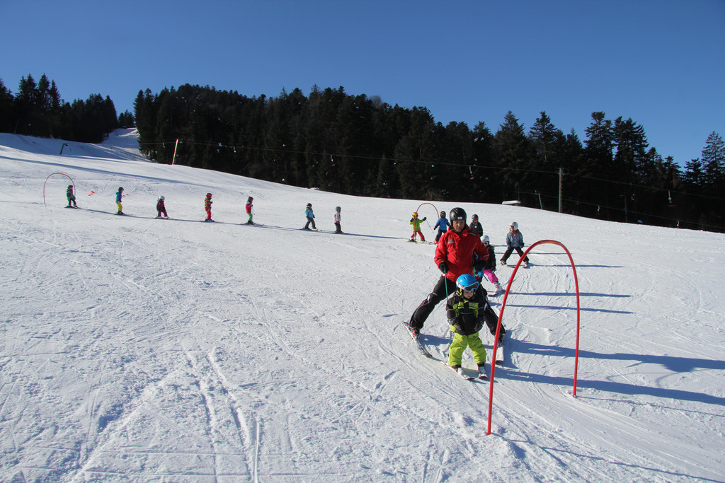 IMG_7390.JPG