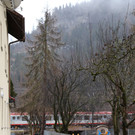 IMG_4598.JPG