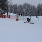 IMG_7851.JPG
