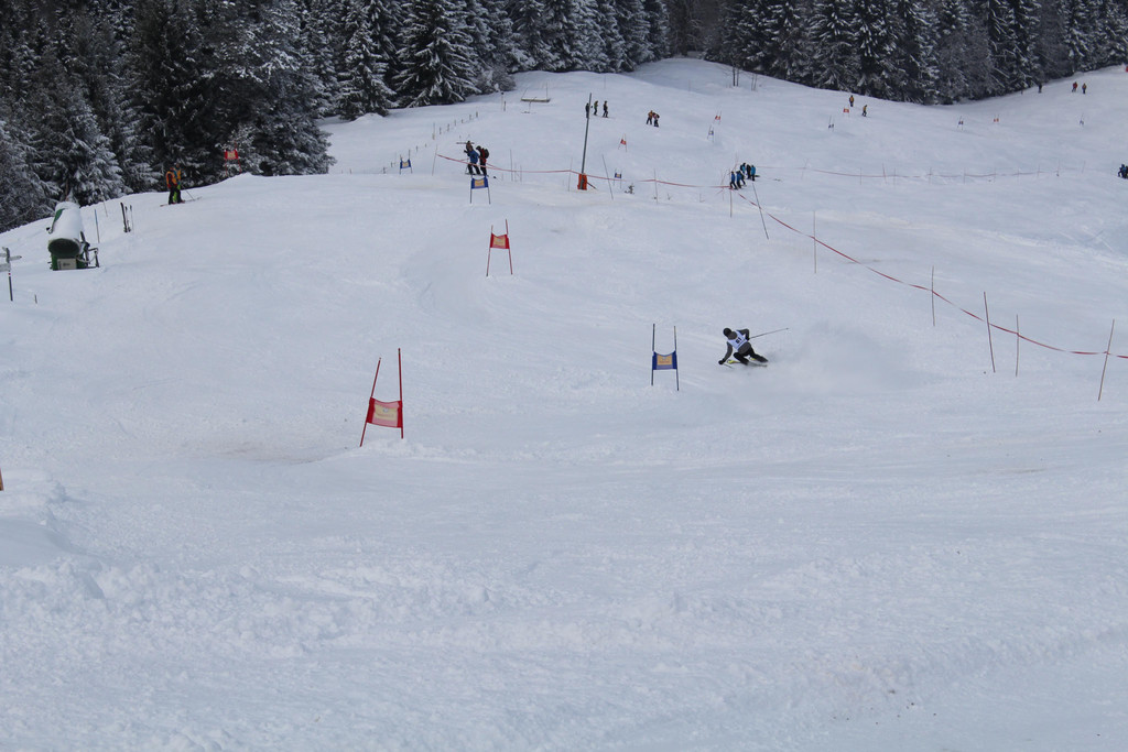 IMG_7873.JPG
